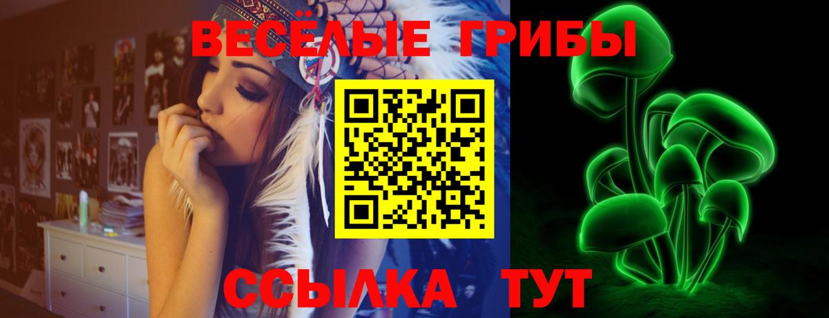 Назарово  Псилоцибиновые грибы Psilocybine cubensis  Псилоцибиновые грибы мицелий  Вход с VPN 